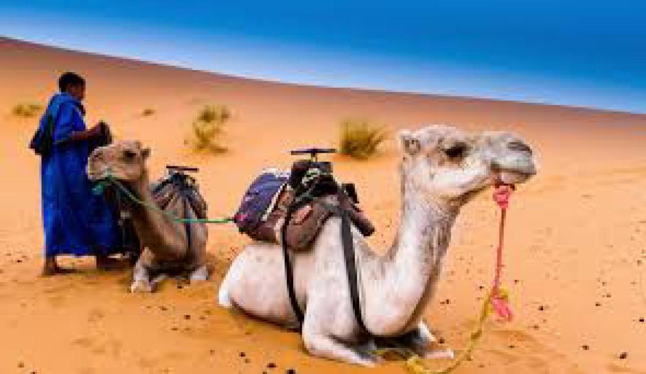 Les Pyramides Hotel Merzouga Eksteriør bilde